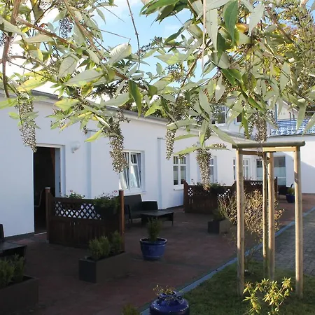Terrassenwohnung Im Ostseebad - Strand 216 Appartement